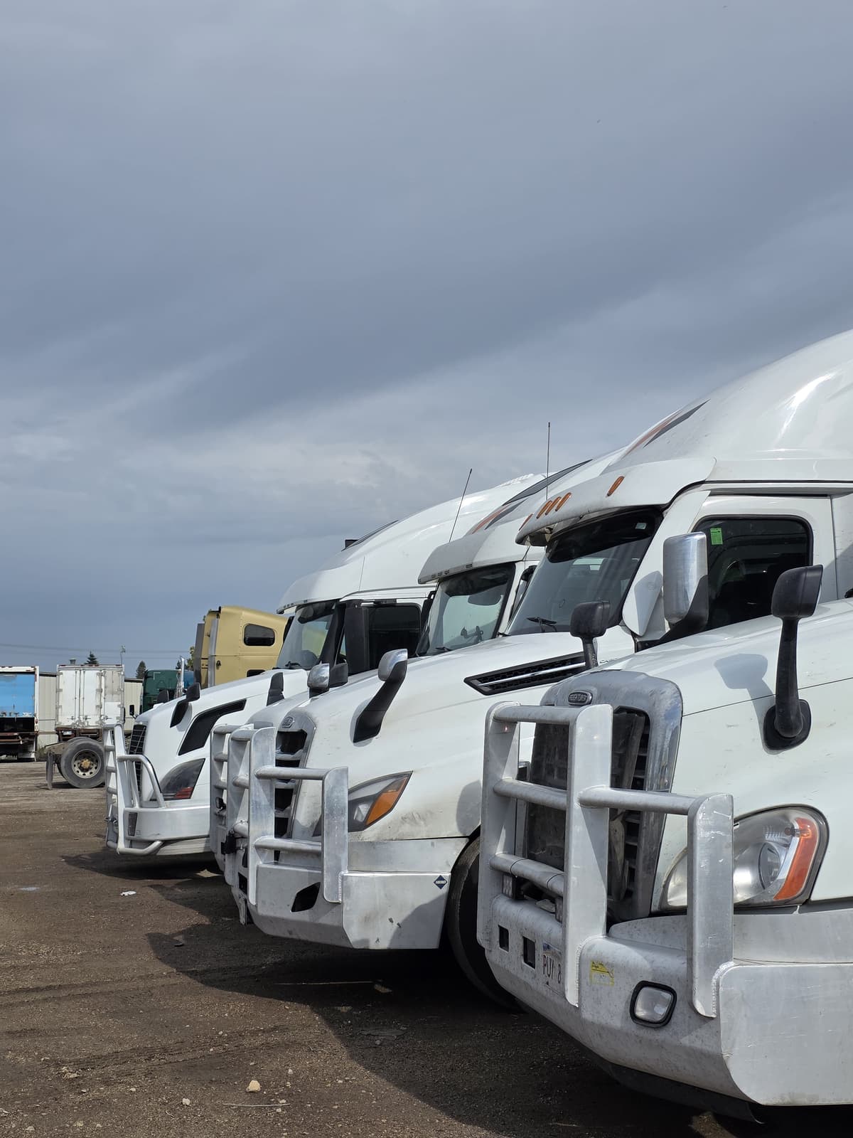 Reeset gallery image