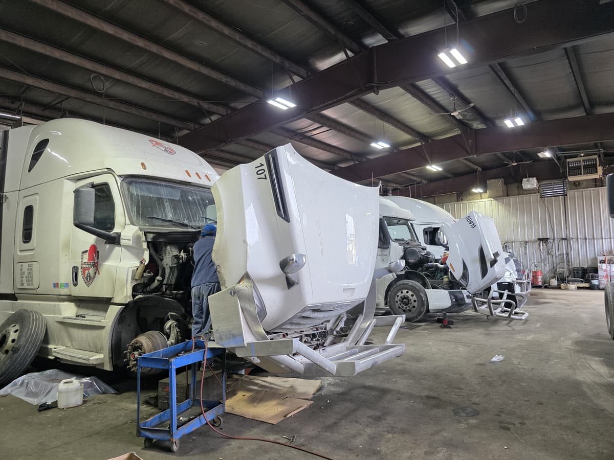 Reeset gallery image