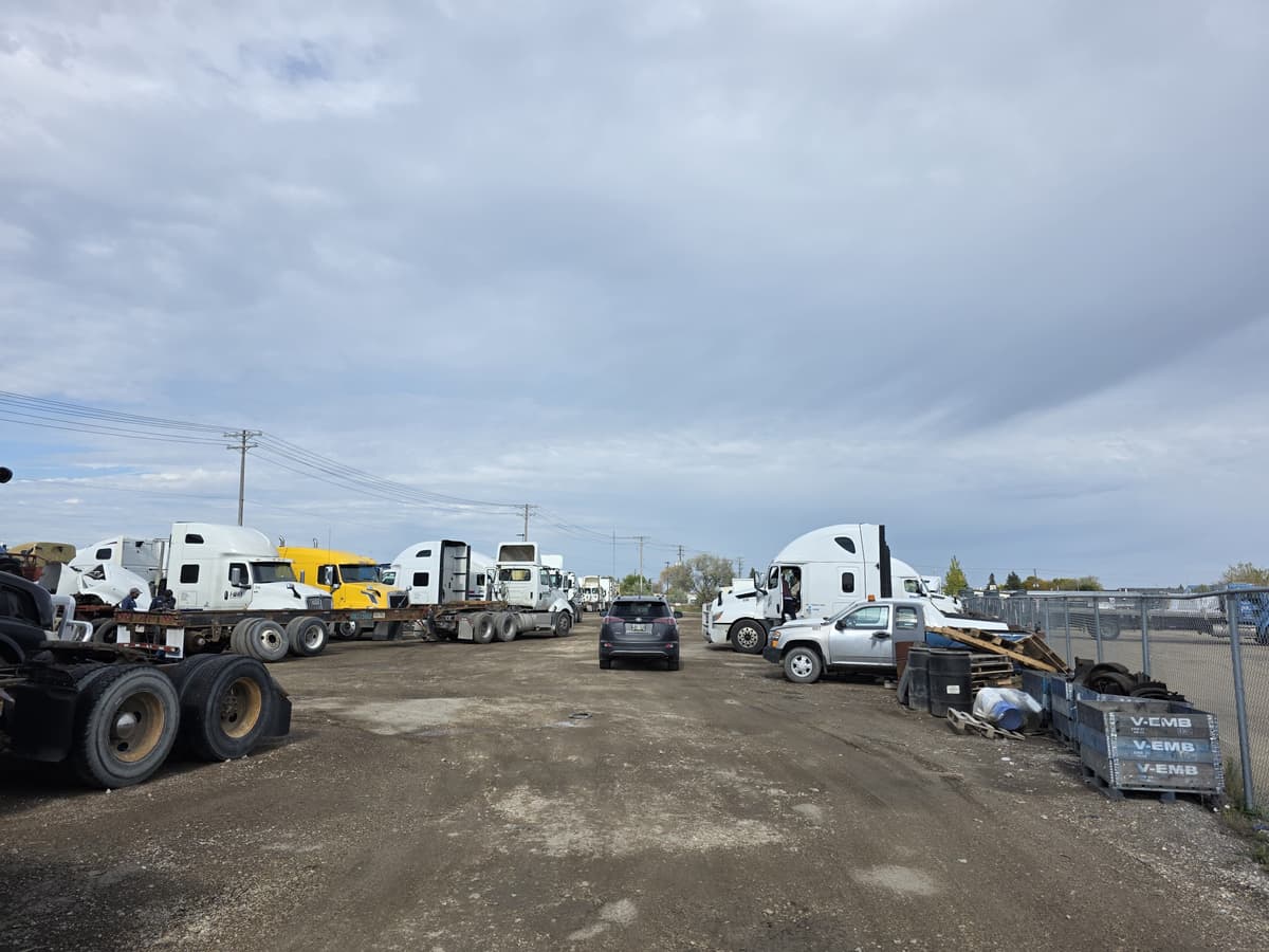 Reeset gallery image