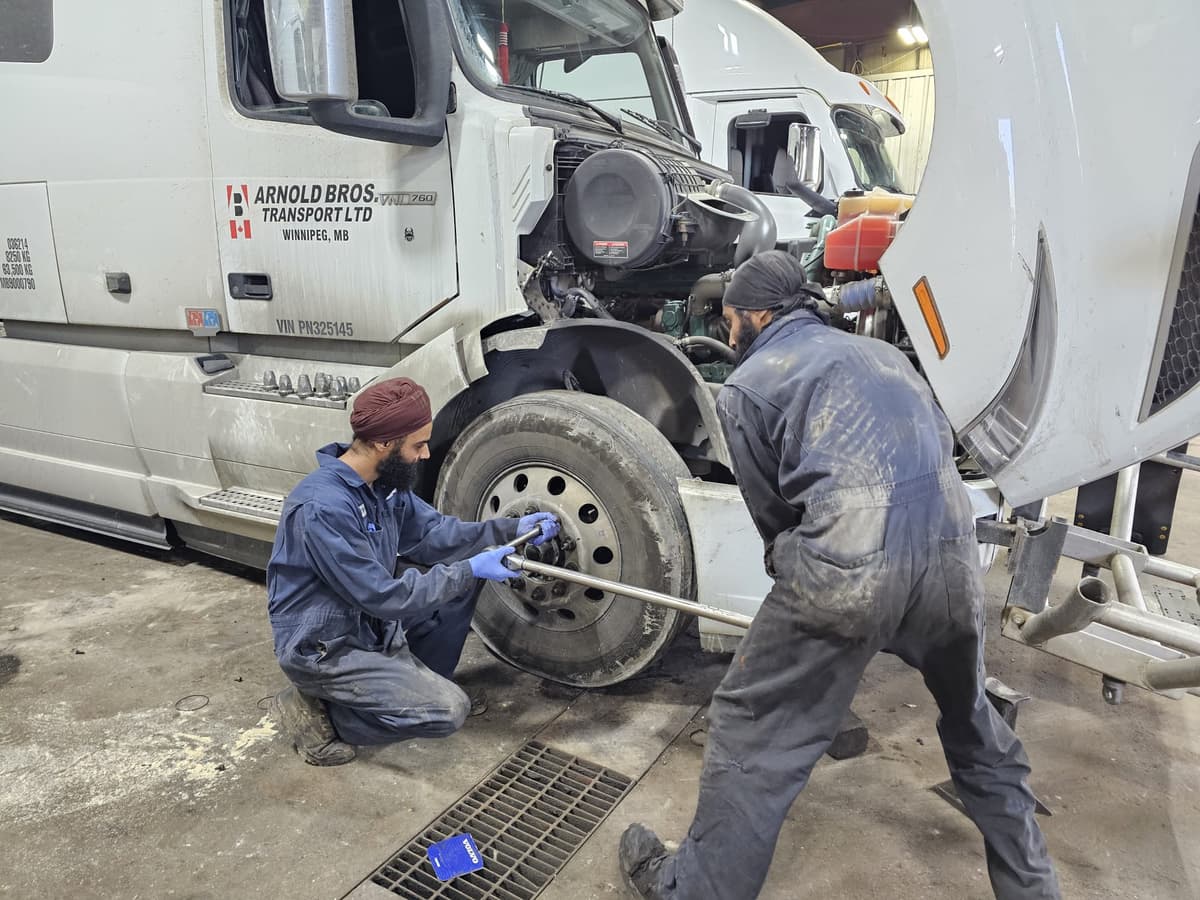 Suspension & Steering